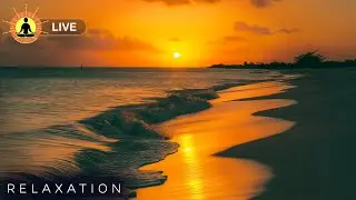 🔴 Relaxing Music 24/7, Healing, Meditation Music, Calm Music, Sleep Music, Spa, Relax, Yoga, Study