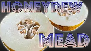 Honeydew Melon Mead // Start to Tasting!
