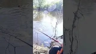 улово,добыча ! так всё и происходит, взял и добыла трофея)