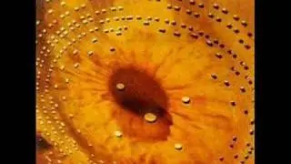 Catherine Wheel - Black Metallic (audio only)