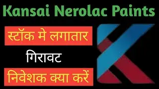 Kansai Nerolac stock
