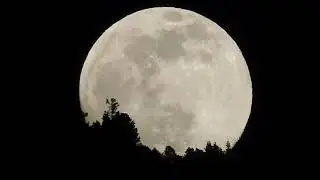 Moon Rise