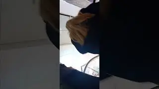 #безтрусов