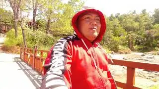 Review Hutan Pinus Lahendong