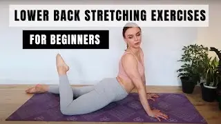 Lower Back Stretching Exercises for Beginners || How to Get More Flexible in the Lower Back
