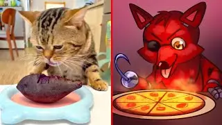 Drawing Cats Memes: New Funniest Cat And Dog 2023 Video