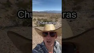 Chupacabras are everywhere down here 😅 