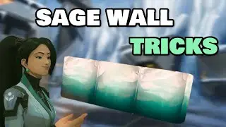 Sage wall are UNDENIABLY OP