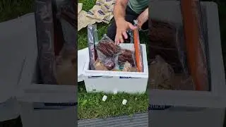 ikrinka.de