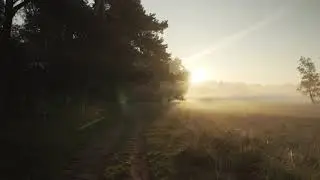 Утренний туман видео в 4K