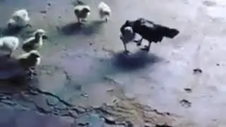 18 марта 2018 г.