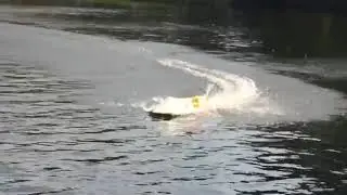 F1H2O RC Model first run / Формула 1