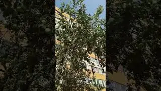 26 августа 2024 г.