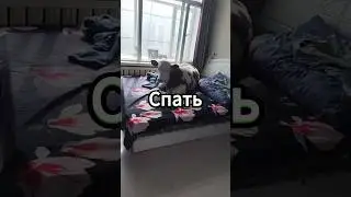 Что ты выберешь? Часть 57 - Я вернулся #shorts