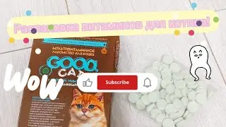 Распаковка витаминов для котика! #распаковка #котики #дарвин #витамины #пухлыйкотик #котикблогер
