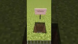 Minecraft Oi Oi Oi Meme #shorts