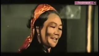 Шинэ хотын гэрэл МУСК