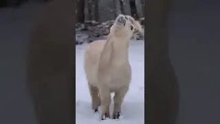 Tag Your Not-So-Bright Friends! 