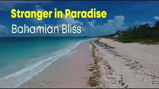 Stranger in Paradise