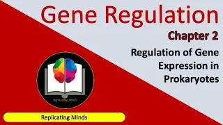 Gene Regulation | Chapter 2 | Regulation of Gene Expression in Prokaryotes | Molecular Biology