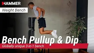 Bench Pullup & Dip | Globally unique 3-in-1 bench | HAMMER