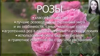 Вебинар 