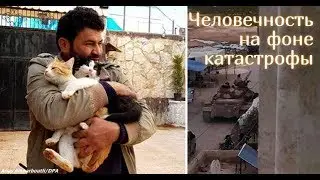 Сириец остался в разрушенном войной городе, чтобы заботиться о брошенных кошках