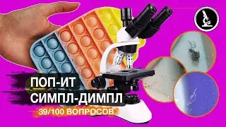 ПОП ИТ И СИМПЛ ДИМПЛ ПОД МИКРОСКОПОМ. ЧТО МОЖНО ТАМ УВИДЕТЬ?