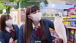 Gyurakushi