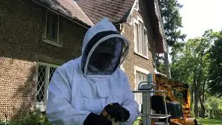 Gutter cleaning vs hornets nest