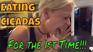 Eating Cicadas and her response is priceless