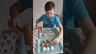 занятие со скорлупой🥚 сидим на больничном😷 