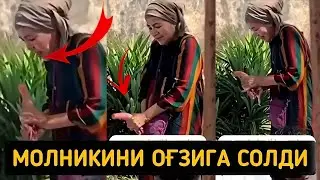 УЗБЕК КИЗЛАРИГА НИМА БУЛАЯПТИ ШАРМАНДА °шукурулло домла #шукурулло_домла