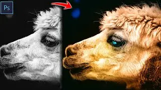 How To Colorize Black & White Images In Photoshop (2 Min) | Convert B&W To Color