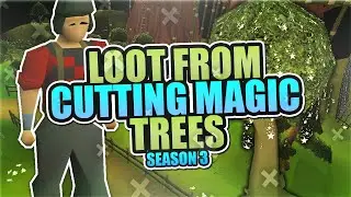 Cutting Magic Trees  | Testing OSRS Wiki Money Makers | Money Making Guide 2021