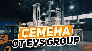 Семена от EVS group, очистка и хранение
