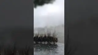 cute worm walking