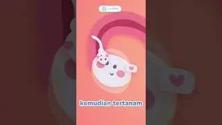 Bedanya Flek Karena Haid atau Karena Hamil