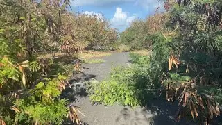 A Walk from the Movie Theater Down the Hill Towards the JOC