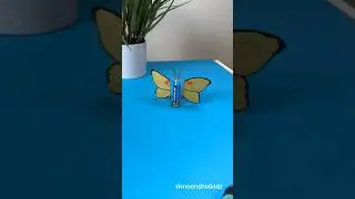DIY “Yellow butterfly” homopolar motor. Easy and fun electronics project for beginners. #science