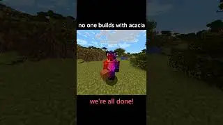 no one builds with acacia | skit 157