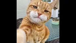 The more pets the more happiness !😇