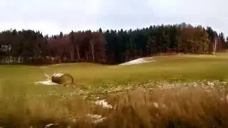 Taková normální jízda polárním expresem