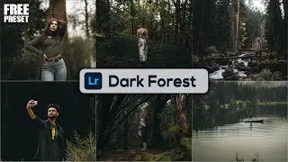 Editing with Lightroom Mobile - Create dark forest tones | FREE PRESET
