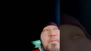 Ослики на прогулке были целый день идут за машиной домой 😀❤️🔥✌️