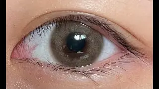 [렌즈미] 내츄럴벨 브라운 보정 없는 솔직 리뷰 / [LEMSNE] NATURAL BELL BROWN COLOR CONTACT LENS REVIEW