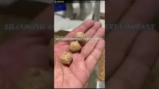 Twin screw extruders 95 Soya nuggets, in india #arrow #machinery #shandong