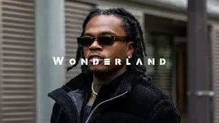 Gunna Type Beat "Wonderland"