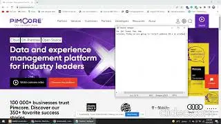 How to install Pimcore on windows.
