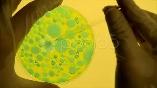 Sample Extraction In Lab. Stock Footage